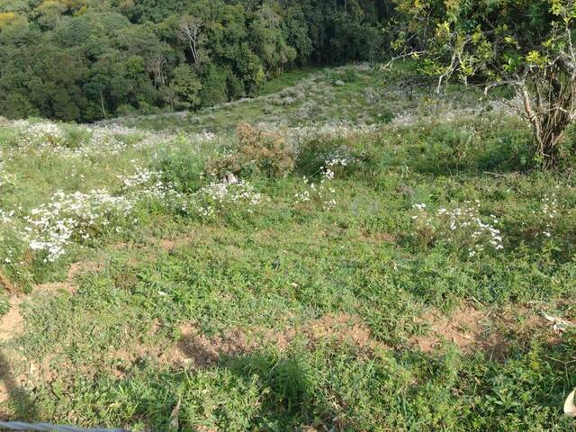 #2500 - Terreno para Venda em Congonhal - MG