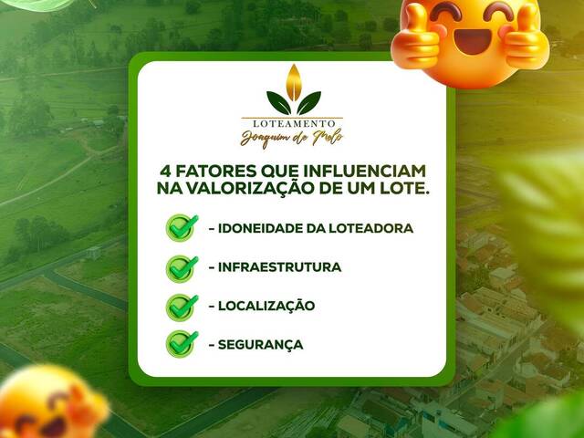 #2511 - Área para Venda em São Sebastião da Bela Vista - MG - 3